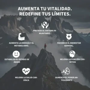 𝐂𝐚́𝐩𝐬𝐮𝐥𝐚𝐬 𝐝𝐞 𝐑𝐞𝐧𝐝𝐢𝐦𝐢𝐞𝐧𝐭𝐨 𝐆𝐨𝐥𝐝