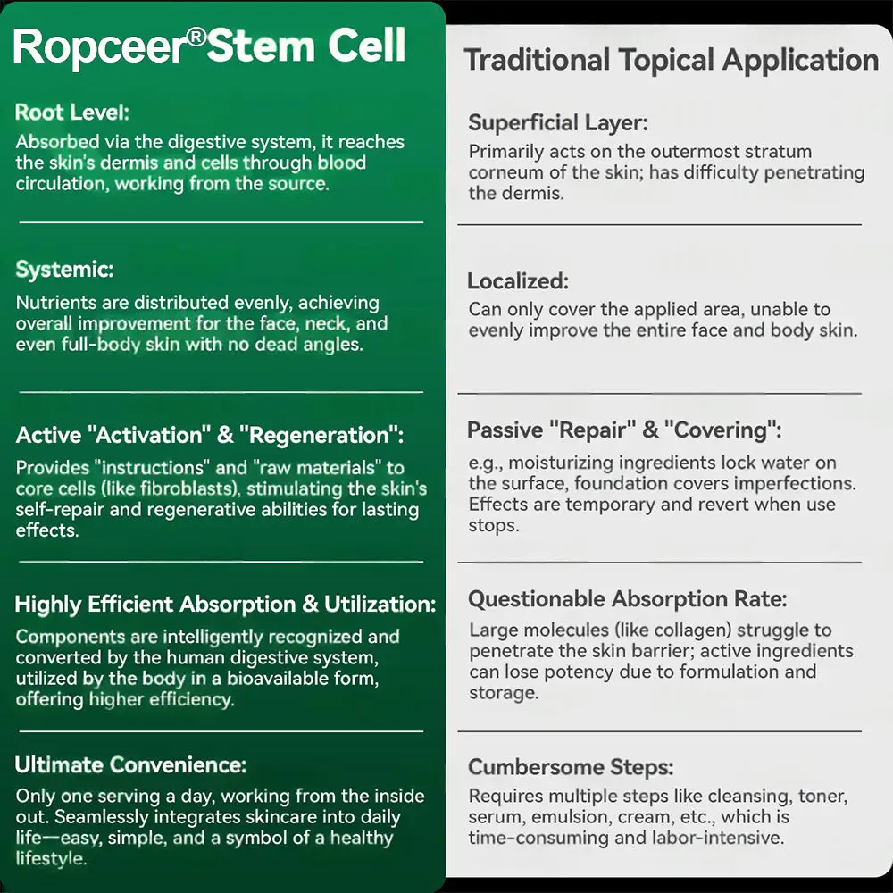 ๐๐ก๐๐ ๐ถ๐๐๐ & ๐ถ๐๐๐๐๐๐๐ ๐๐๐๐ก๐๐๐ ๐๐๐๐ ๐ท๐๐๐๐ - Image 9