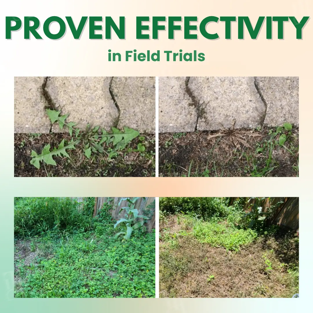 5 in 1 Max Power Herbicide - Image 2