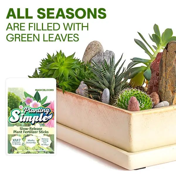 MagicBlooms Slow-Release Plant Fertilizer Spikes - Image 4