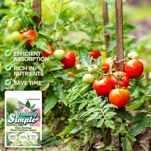 MagicBlooms Slow-Release Plant Fertilizer Spikes - Image 7