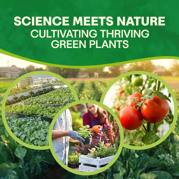 MagicBlooms Slow-Release Plant Fertilizer Spikes - Image 9