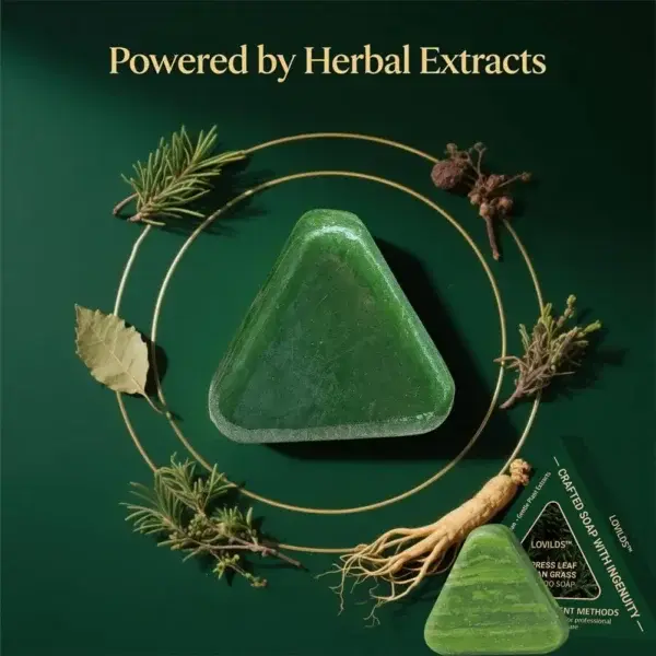 ๐๐๐ญ๐ ๐๐ข๐ซ๐ณ๐ ๐๐๐๐๐ซ๐ฏ๐๐ฌ๐๐๐ง๐ญ ๐ญ๐๐๐ฅ๐๐ญ๐ฌ - Image 2