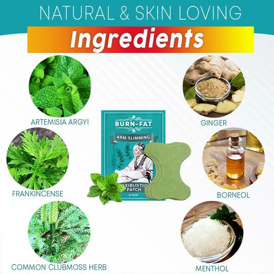 Burn-FAT Arm Slimming Moxibustion Patch (12PCS) - Image 2