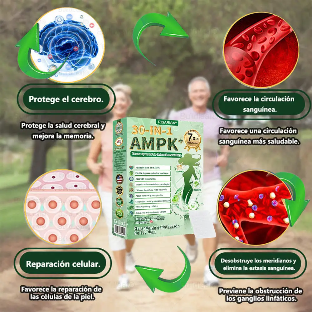 30-๐๐-๐ ๐๐๐ซ๐๐ก๐ ๐๐๐ญ๐๐๐จฬ๐ฅ๐ข๐๐จ & ๐๐๐๐๐ข๐ซ๐ฆ๐๐ง๐ญ๐ - Image 15