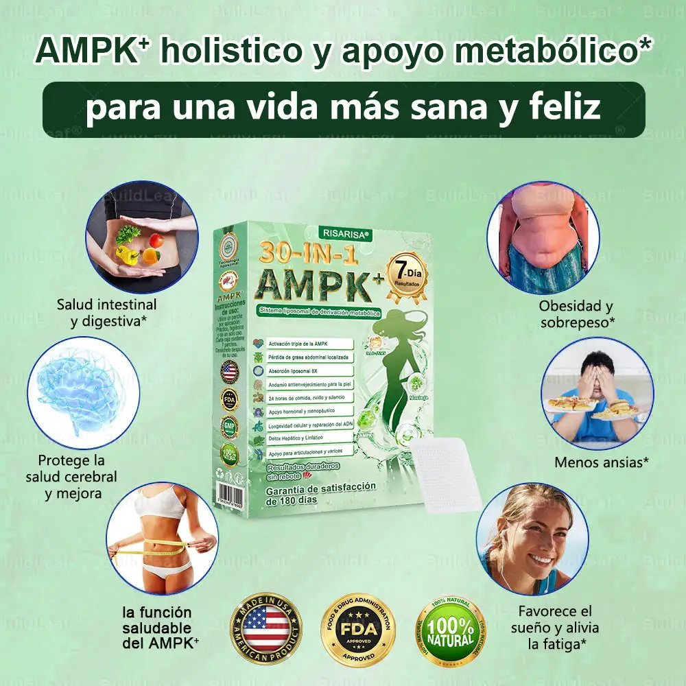 30-๐๐-๐ ๐๐๐ซ๐๐ก๐ ๐๐๐ญ๐๐๐จฬ๐ฅ๐ข๐๐จ & ๐๐๐๐๐ข๐ซ๐ฆ๐๐ง๐ญ๐ - Image 17