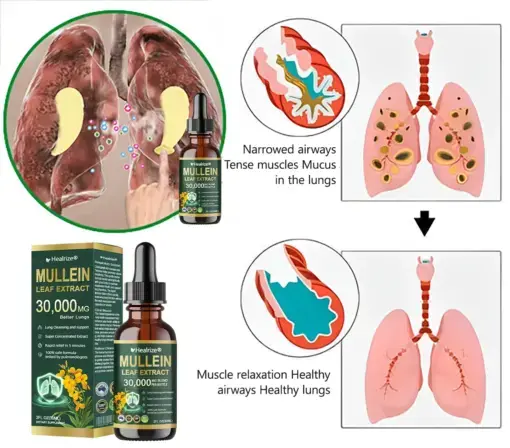 ๐ข๐ฟ๐ด๐ฎ๐ป๐ถ๐ฐ ๐๐๐ป๐ด ๐๐น๐ฒ๐ฎ๐ป๐๐ถ๐ป๐ด ๐ ๐๐น๐น๐ฒ๐ถ๐ป ๐๐ฒ๐ฎ๐ณ ๐๐
๐๐ฟ๐ฎ๐ฐ๐ ๐๐ฟ๐ผ๐ฝ๐ - Image 7