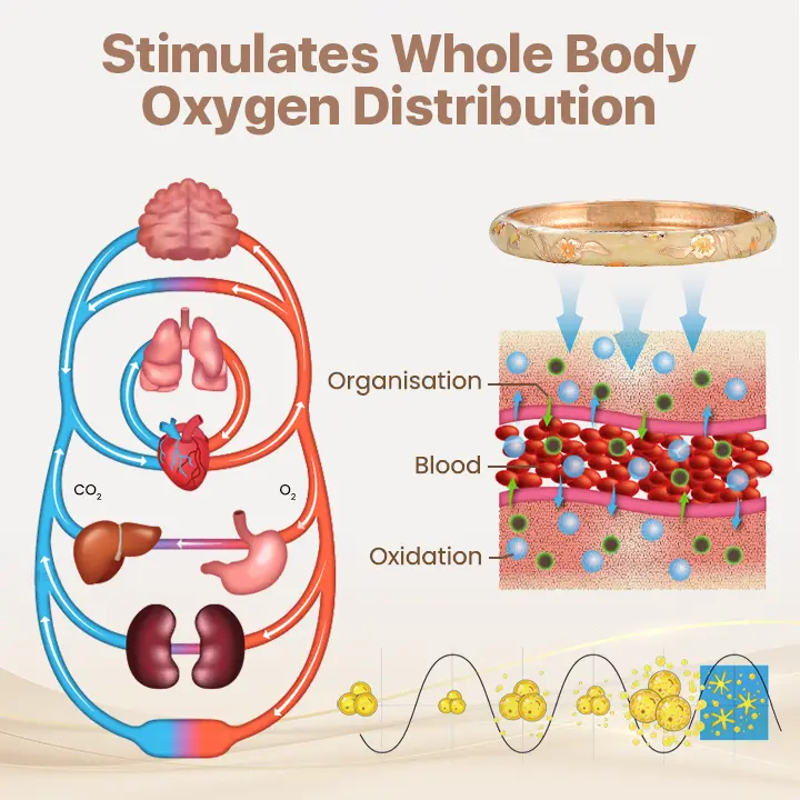 Magnetic Lymphatic Wellness Bracelet - Image 6