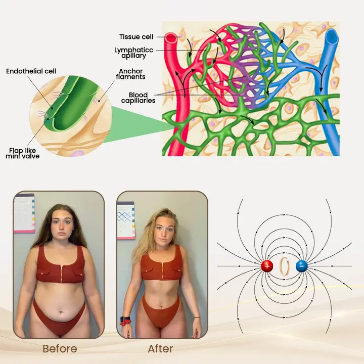 Magnetic Lymphatic Wellness Bracelet - Image 8