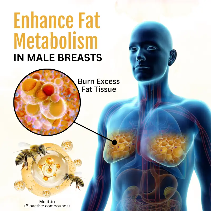 ThermoFirm Bee Venom Gynecomastia Oil - Image 3