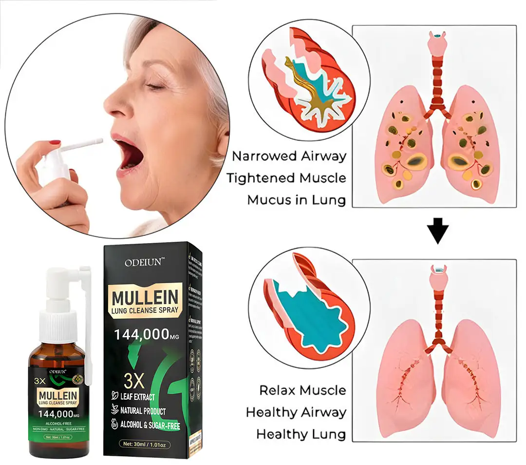 3X Concentrated Mullein Lung Cleanse Spray — Advanced Respiratory Detox & Clear Breathing - Image 2