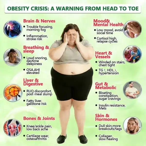 ๐๐ฎ๐ฌ๐ฌ๐ข๐ ๐๐จ๐๐ญ๐จ๐ซ ๐๐๐๐จ๐ฆ๐ฆ๐๐ง๐๐๐ | ๐๐ฒ๐ฟ๐ฏ๐ฒ๐ฟ๐ถ๐ป๐ฒ ๐๐-๐ข๐ง-๐ ๐ก๐ฎ๐ป๐ผ ๐ ๐ถ๐ฐ๐ฟ๐ผ๐ป๐ฒ๐ฒ๐ฑ๐น๐ฒ ๐ฃ๐ฎ๐๐ฐ๐ต - Image 10