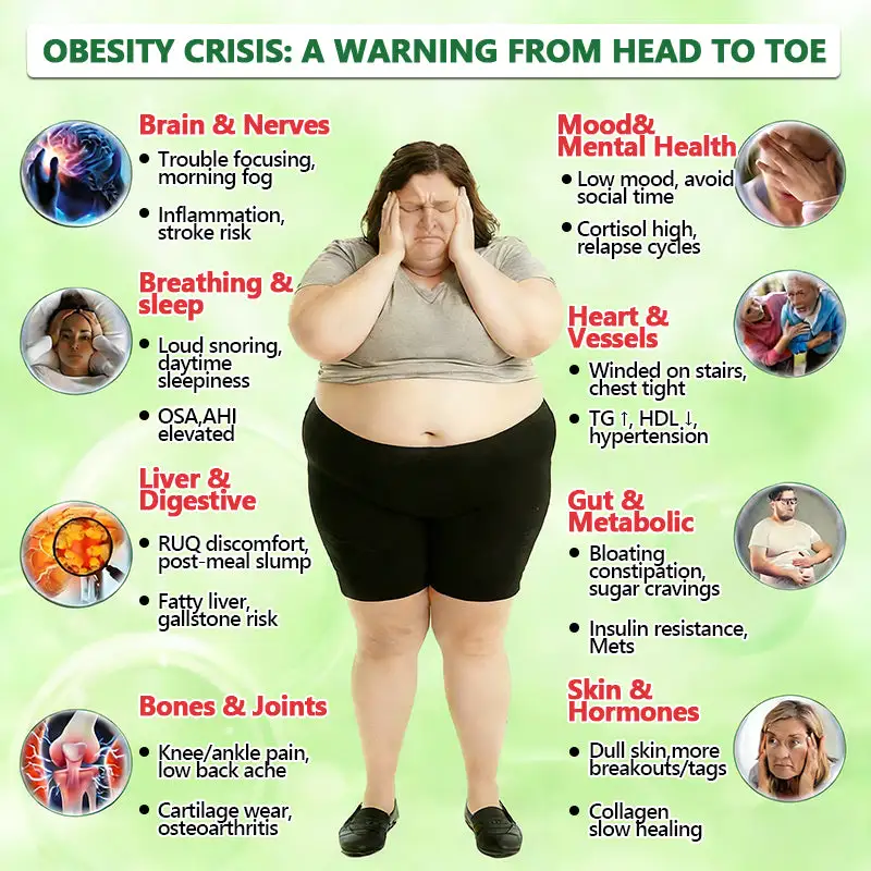 ๐ฉ๐๐๐๐๐ง๐๐ฃ๐ ๐๐๐ฏ๐๐ง๐๐๐ ๐ต๐๐๐-๐๐๐๐๐ก๐ ๐๐๐๐๐ฃ๐ค๐ก๐ค๐๐ฎ - Image 8