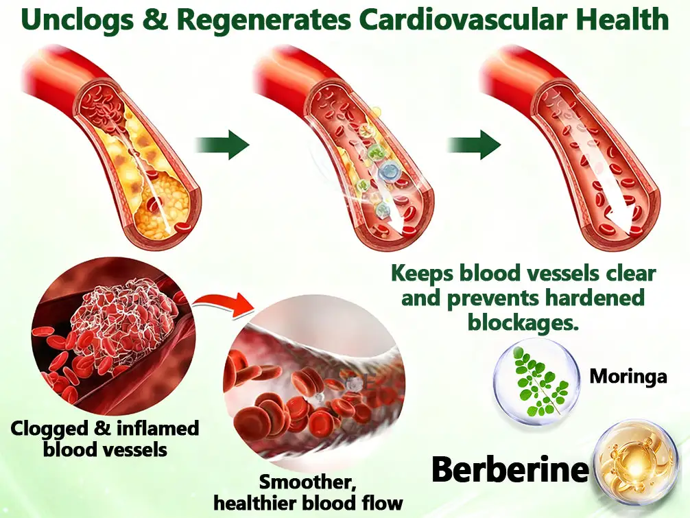 ๐ช๐๐๐๐๐๐๐๐
๐๐ญ๐ฅ๐๐ง๐ฉ๐๐จ๐๐ฉโโ๏ธ| ๐ด-๐ฉ-๐ ๐ญ๐ฌ-๐๐ท-๐ ๐๐๐ฃ๐ ๐ญ๐พ๐จ๐๐ค๐ฃ ๐๐ฎ๐ฝ๐๐๐ค๐๐๐ฌ ๐ท๐๐๐ฌ๐ - Image 12