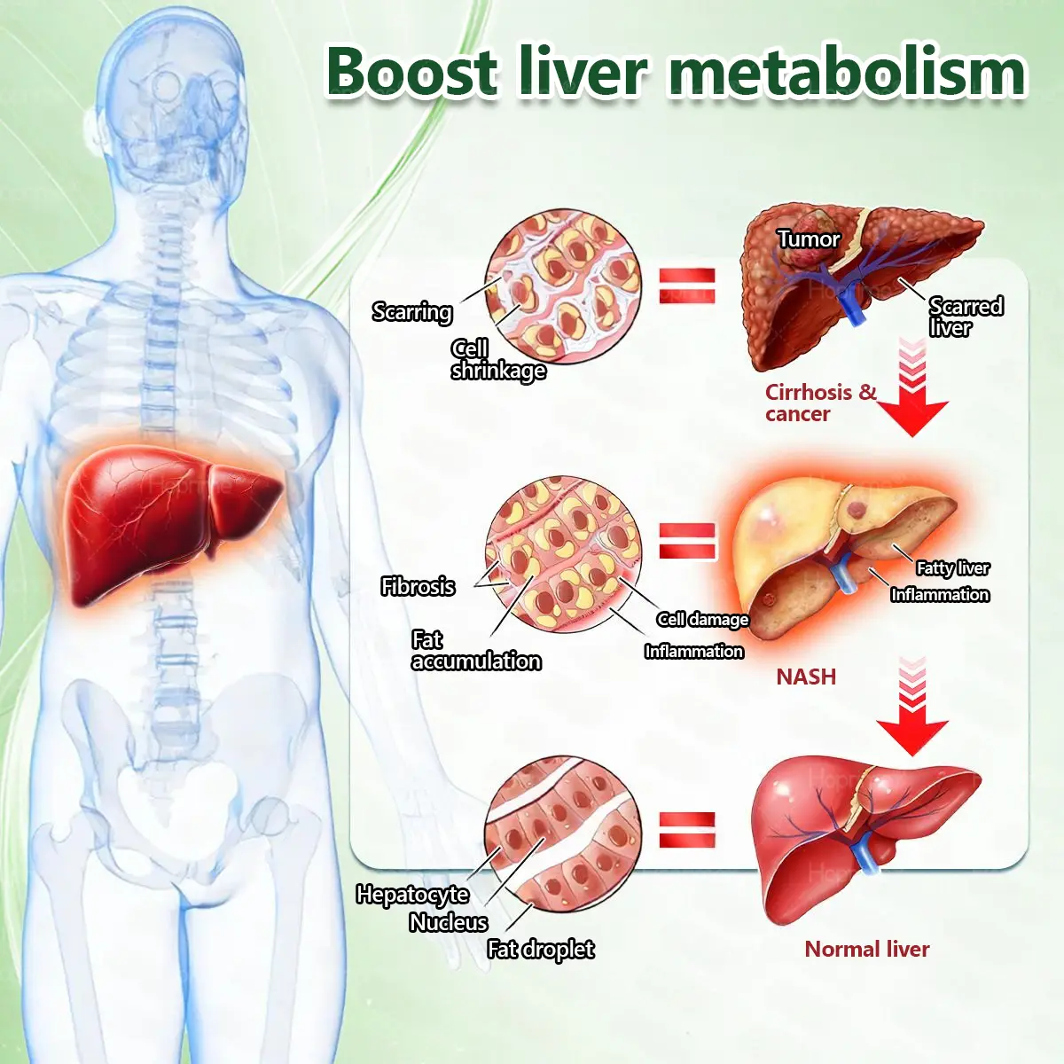 ๐ด๐๐๐๐๐๐ฎ ยท ๐๐ฒ๐ฟ๐ฏ๐ฒ๐ฟ๐๐ฃ๐ ร ๐๐ผ๐+ ๐๐-๐ข๐ง-๐ ๐๐ฑ๐๐ฎ๐ป๐ฐ๐๐ ๐๐๐ฃ๐ค ๐๐๐๐ง๐ค๐ฃ๐๐๐๐ฅ๐ ๐๐๐ญ๐๐ - Image 10