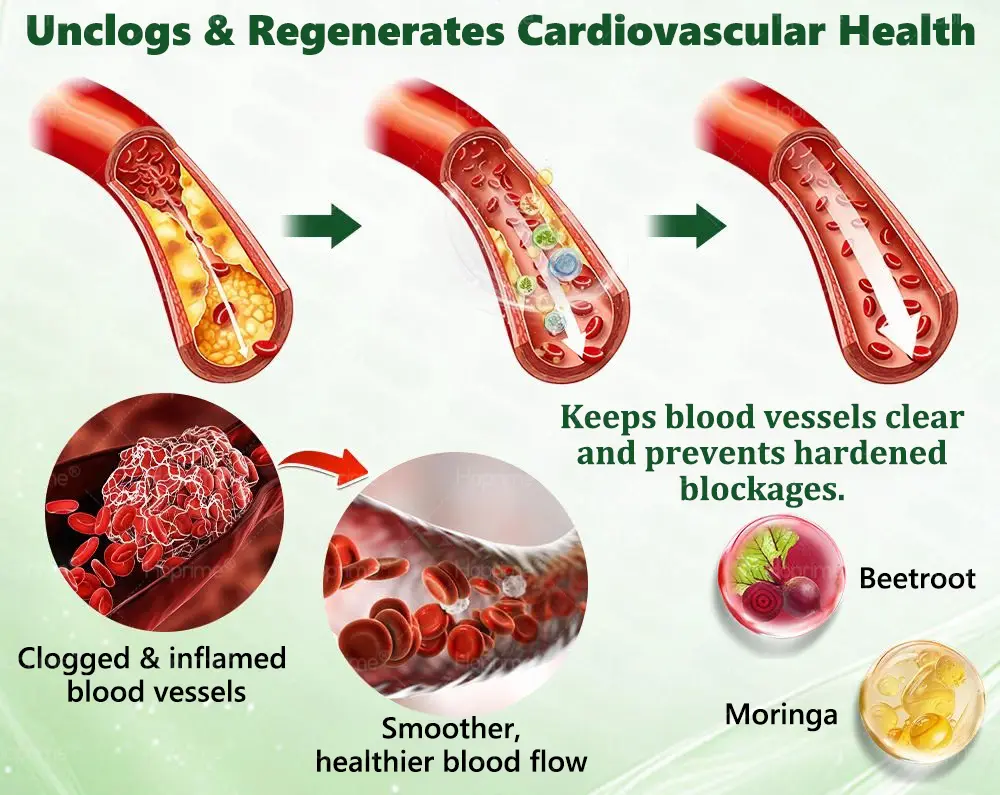 ๐ด๐๐๐๐๐๐ฎ ยท ๐๐ฒ๐ฟ๐ฏ๐ฒ๐ฟ๐๐ฃ๐ ร ๐๐ผ๐+ ๐๐-๐ข๐ง-๐ ๐๐ฑ๐๐ฎ๐ป๐ฐ๐๐ ๐๐๐ฃ๐ค ๐๐๐๐ง๐ค๐ฃ๐๐๐๐ฅ๐ ๐๐๐ญ๐๐ - Image 9