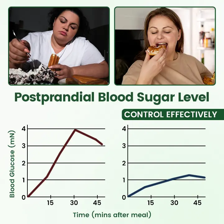 Moringa · Berberine + NAD+ 10-in-1 Nano Microneedle Patch - Image 2