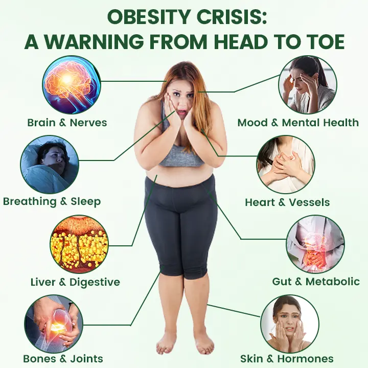 Moringa · Berberine + NAD+ 10-in-1 Nano Microneedle Patch - Image 4