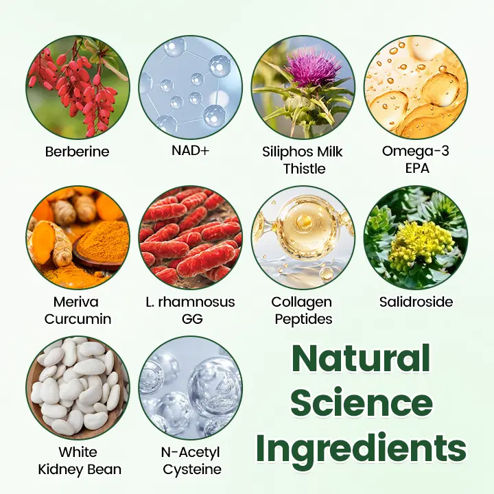 Moringa · Berberine + NAD+ 10-in-1 Nano Microneedle Patch - Image 7