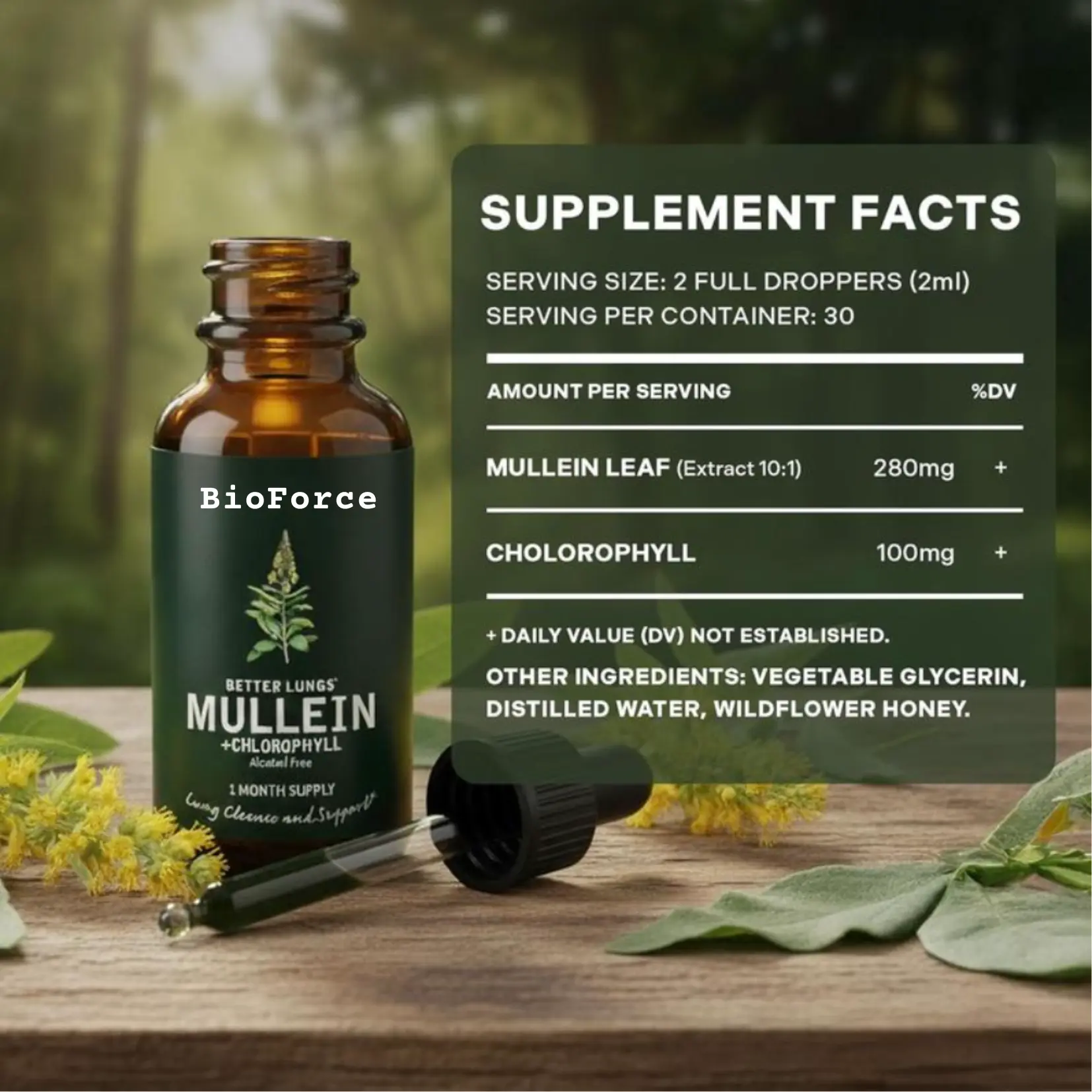 BioForce Mullein Chlorophyl Drops - Image 5