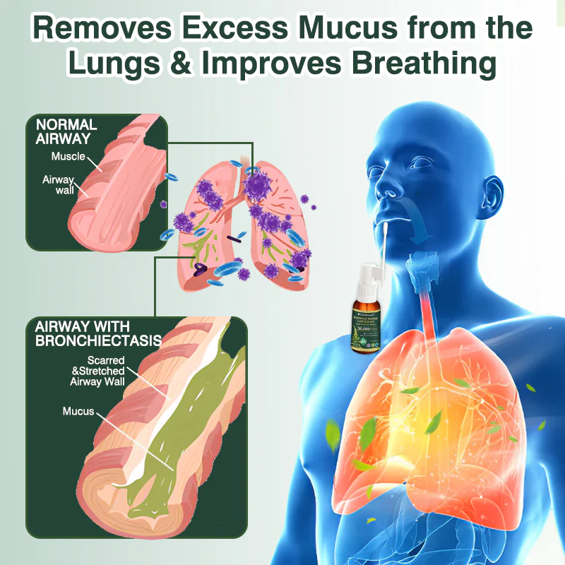 Botanical Mullein Leaf Extract Lung Cleanse Spray - Image 5