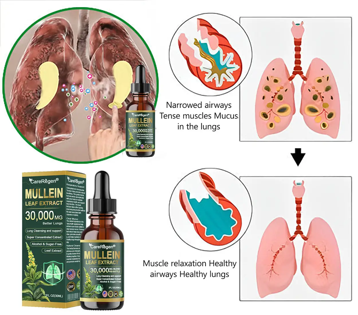 ๐ข๐ฟ๐ด๐ฎ๐ป๐ถ๐ฐ ๐๐๐ป๐ด ๐๐น๐ฒ๐ฎ๐ป๐๐ถ๐ป๐ด ๐ ๐๐น๐น๐ฒ๐ถ๐ป ๐๐ฒ๐ฎ๐ณ ๐๐
๐๐ฟ๐ฎ๐ฐ๐ ๐๐ฟ๐ผ๐ฝ๐ - Image 3