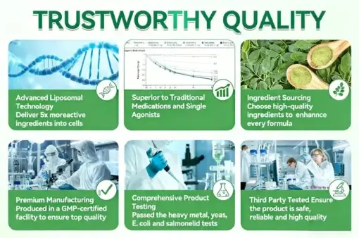 ๐ด๐๐๐๐๐๐ฎ ยท ๐๐ฒ๐ฟ๐ฏ๐ฒ๐ฟ๐๐ฃ๐ ร ๐๐ผ๐+ ๐๐-๐ข๐ง-๐ ๐๐ฑ๐๐ฎ๐ป๐ฐ๐๐ ๐๐๐ฃ๐ค ๐๐๐๐ง๐ค๐ฃ๐๐๐๐ฅ๐ ๐๐๐ญ๐๐ - Image 7