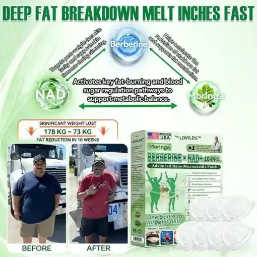 Moringa ยท Berberine ร NAD+ ๐๐-๐ข๐ง-๐ ๐๐๐ฏ๐๐ง๐๐๐ ๐๐๐ง๐จ ๐๐ข๐๐ซ๐จ๐ง๐๐๐๐ฅ๐ ๐๐๐ญ๐๐ก - Image 2