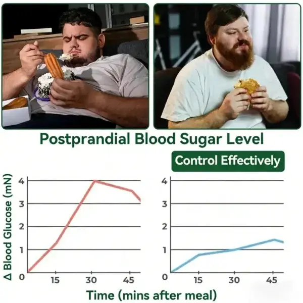 Moringa · Berberine × NAD⁺ 10-in-1 Advanced Nano Microneedle Patch - Image 7