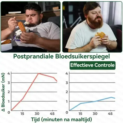 Moringa · Berberine + NAD+ – 12-in-1 Geavanceerde Nano Micronaald Patch - Image 5