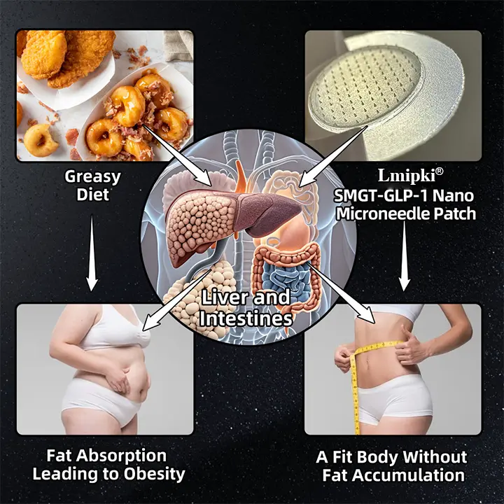 NIDDK-Tirzepatide Nano Microneedle Patch - Image 5