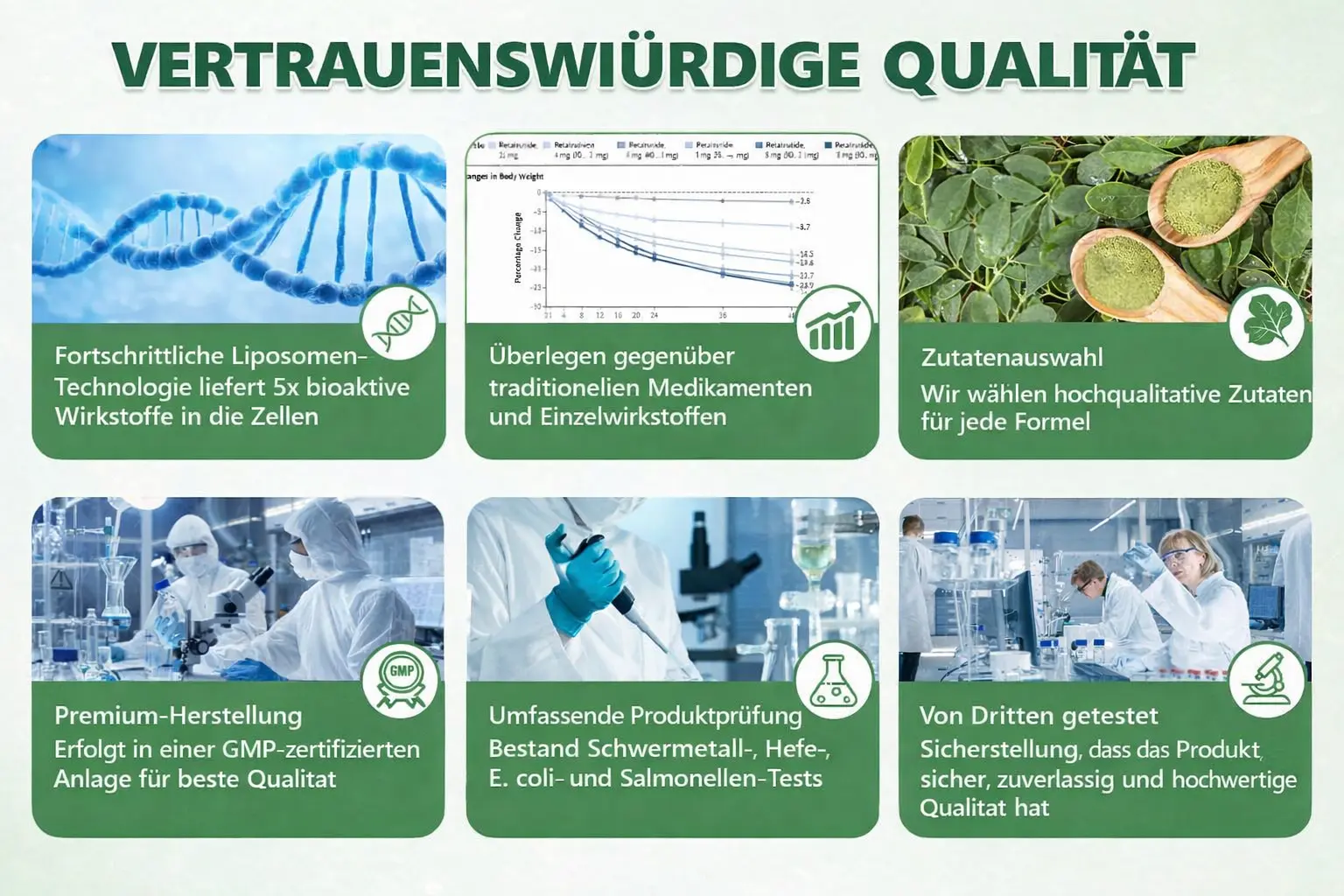 Alcuras Moringa × Berberin × AMPK 8-fach Slimming & Stoffwechsel-Nano-Mikronadel-Patch - Image 8