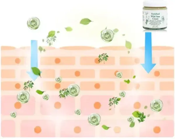 Organic Wild Yam Cream - Image 10