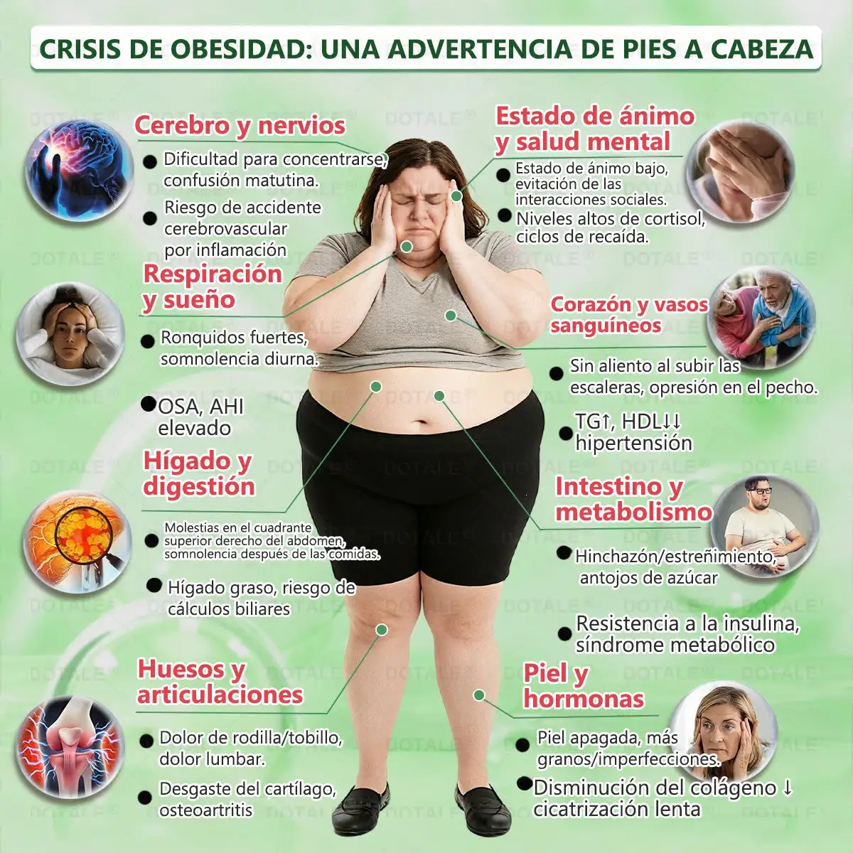 Parche de Microagujas Nano Avanzado 10 en 1 con Moringa Berberina y NAD+ - Image 8