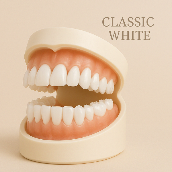 Premium Denture - Image 4