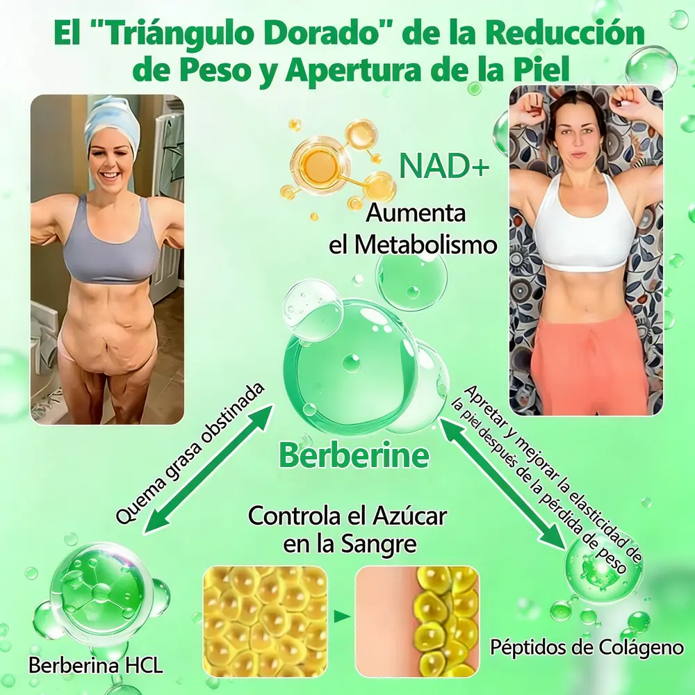 Parche Nano de Berberina 6-en-1 - Image 6