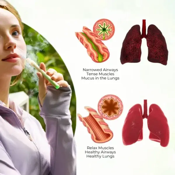 HerbaAir Mullein Lung Purifier - Image 4