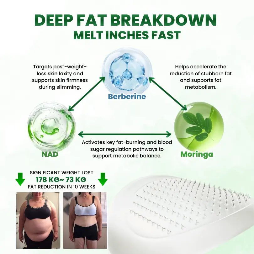 SculptAura Moringa • Berberin + NAD+ 10-in-1 Nano-Microneedle-Patch - Image 5