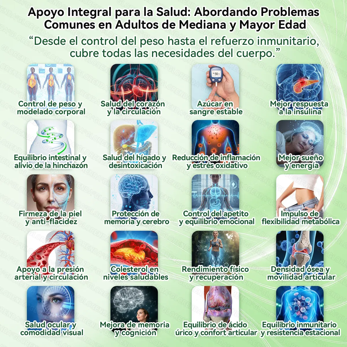 🇺🇸 𝑻𝒊𝒆𝒏𝒅𝒂 𝑶𝒇𝒊𝒄𝒊𝒂𝒍 🇺🇸 | 𝗠𝗼𝗿𝙞𝙣𝙜𝙖 · 𝘽𝙚𝙧𝙗𝙚𝙧𝙞𝙣𝒂 × 𝑵𝑨𝐃+ 10-𝙚𝙣-1 𝘼𝙫𝙖𝙣𝙯𝙖𝙙𝗼 𝑵𝒂𝐧𝐨 𝗱𝗲 𝗠𝗶𝗰𝗿𝗼𝒏𝒂𝒍𝒈𝒂 𝐏𝐚𝐫𝐜𝙝𝙚 - Image 8