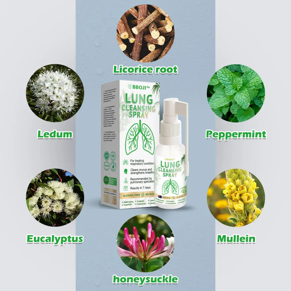Advanced Lung Cleansing Spray - Image 7