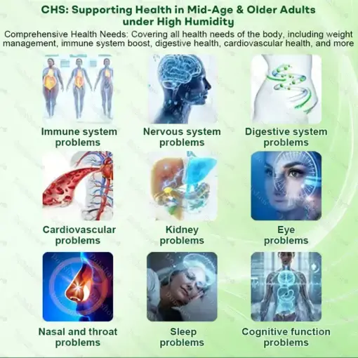 7-Day Herbal Nanoneedle Shaping Patch - Image 11