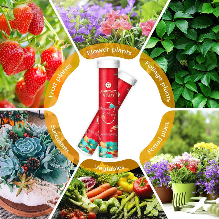 Universal Slow-Release Tablet Organic Fertilizer - Image 3