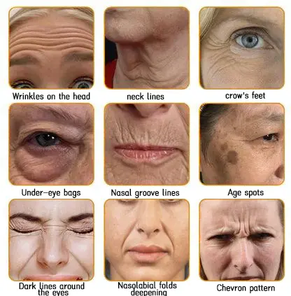 Bee Venom Skin Restoration Cream - Image 18