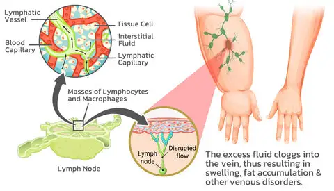 NESLEMY Magnetology Moissanite Diamond Ring - Image 9