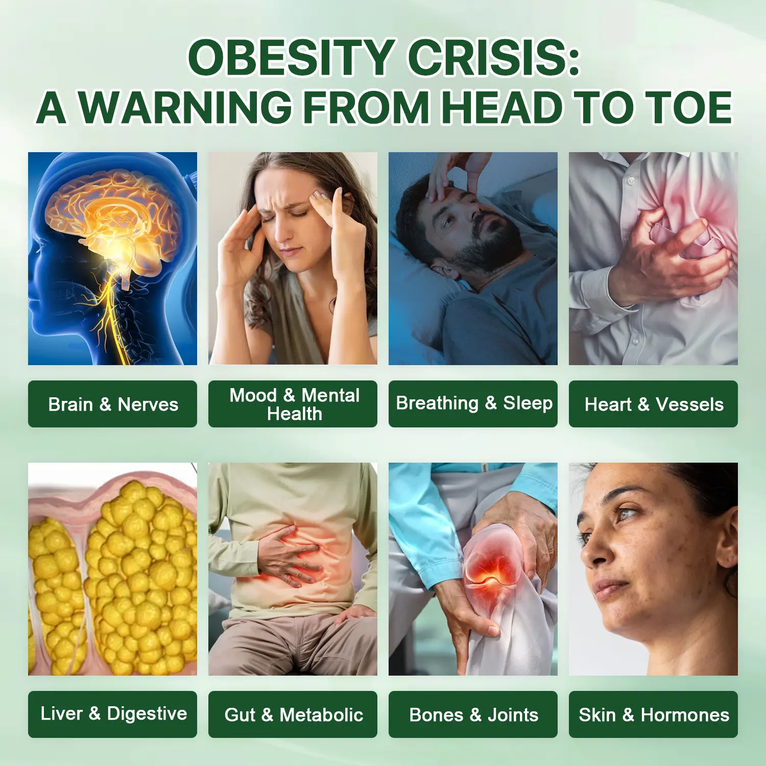 Moringa Berberine + NAD+ 10-in-1 Nano Microneedle Patch - Image 8