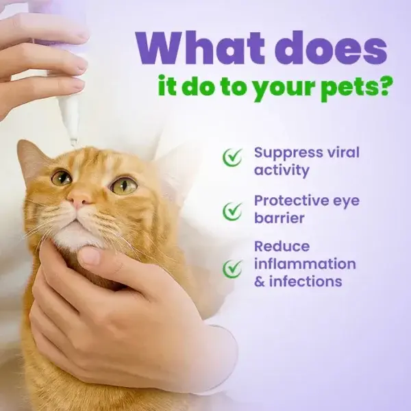 Pet Eye Drops - Image 4
