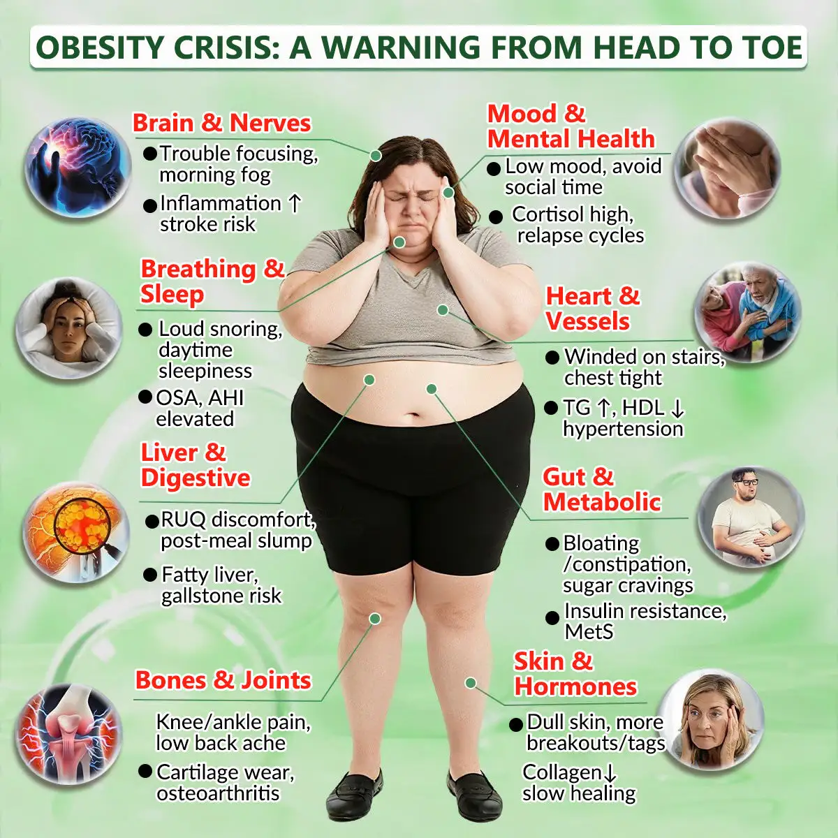 🏥𝐎𝐟𝐟𝐢𝐜𝐢𝐚𝐥 𝐔𝐒 𝐒𝐭𝐨𝐫𝐞 | 🧑⚕️🩺 Moringa · Berberine × NAD+ 𝟏𝟎-𝐢𝐧-𝟏 𝐀𝐝𝐯𝐚𝐧𝐜𝐞𝐝 𝐍𝐚𝐧𝐨 𝐌𝐢𝐜𝐫𝐨𝐧𝐞𝐞𝐝𝐥𝐞 𝐏𝐚𝐭𝐜𝐡 - Image 4