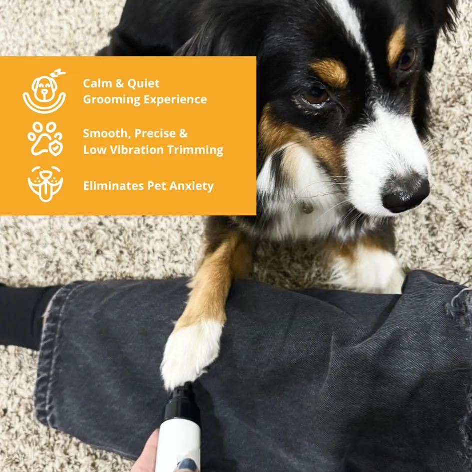 NESLEMY-QuietPaw Nail Grinder - Image 4