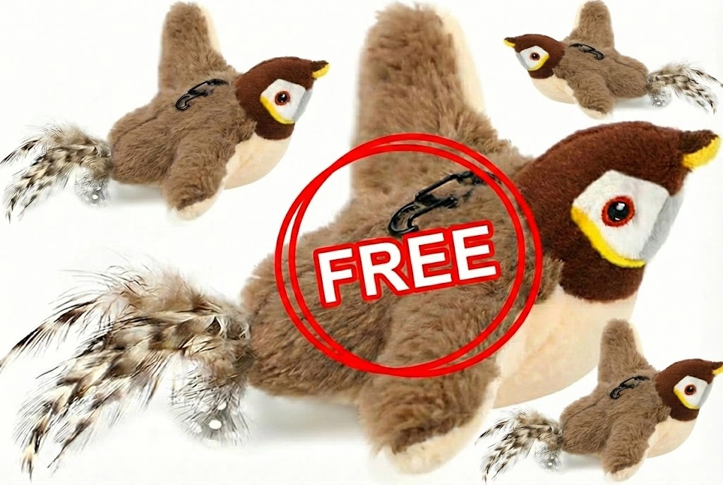 Interactive Chirping Bird Cat Toy - Image 12