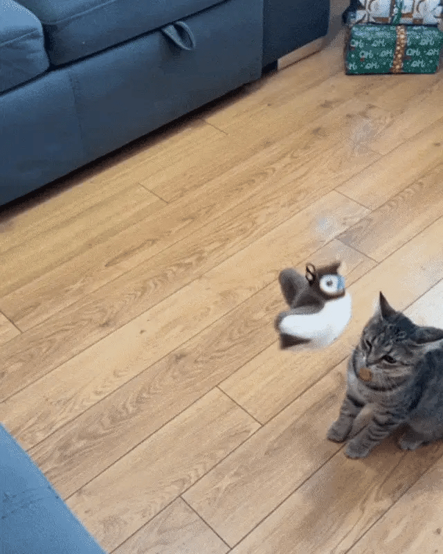 Interactive Chirping Bird Cat Toy - Image 2